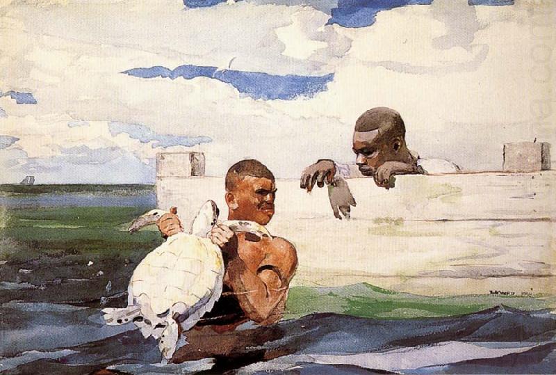 The Turtle Pound, Winslow Homer